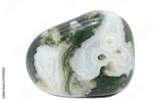 Tree Agate
