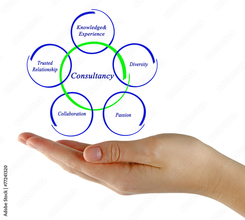 Consultancy Consultancy