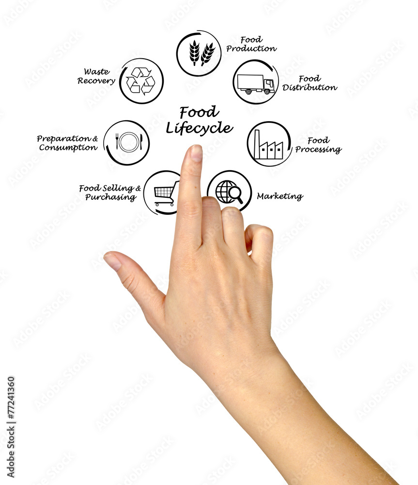 Food lifecycle Food lifecycle