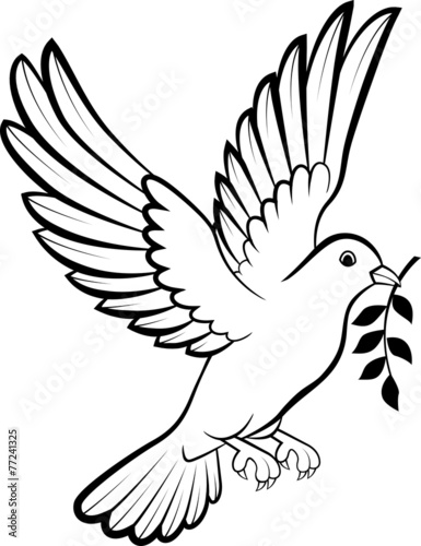 Dove birds logo for peace concept and wedding design