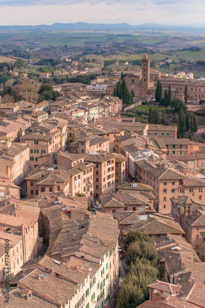 Siena, torre e case della città