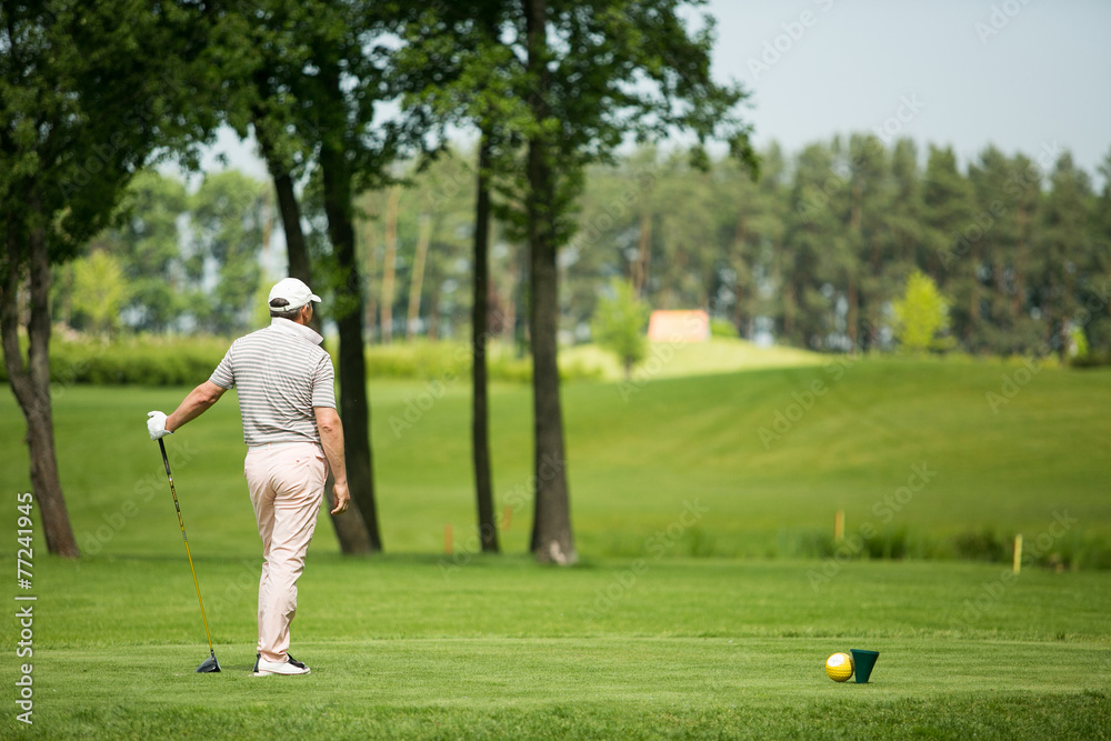 Fototapeta premium Man playing golf