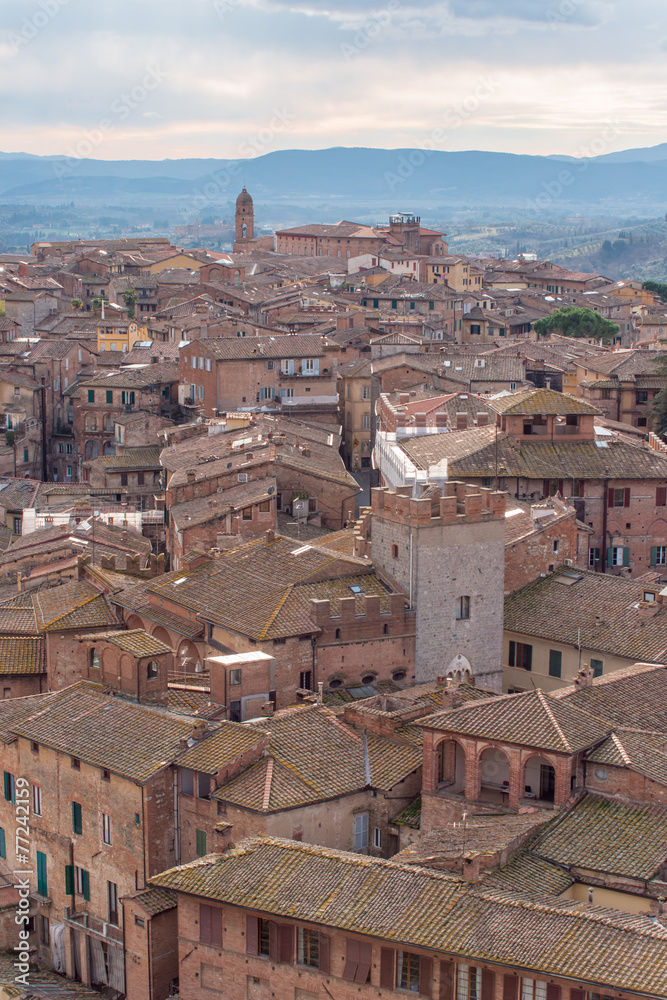 Siena, torre e case della città
