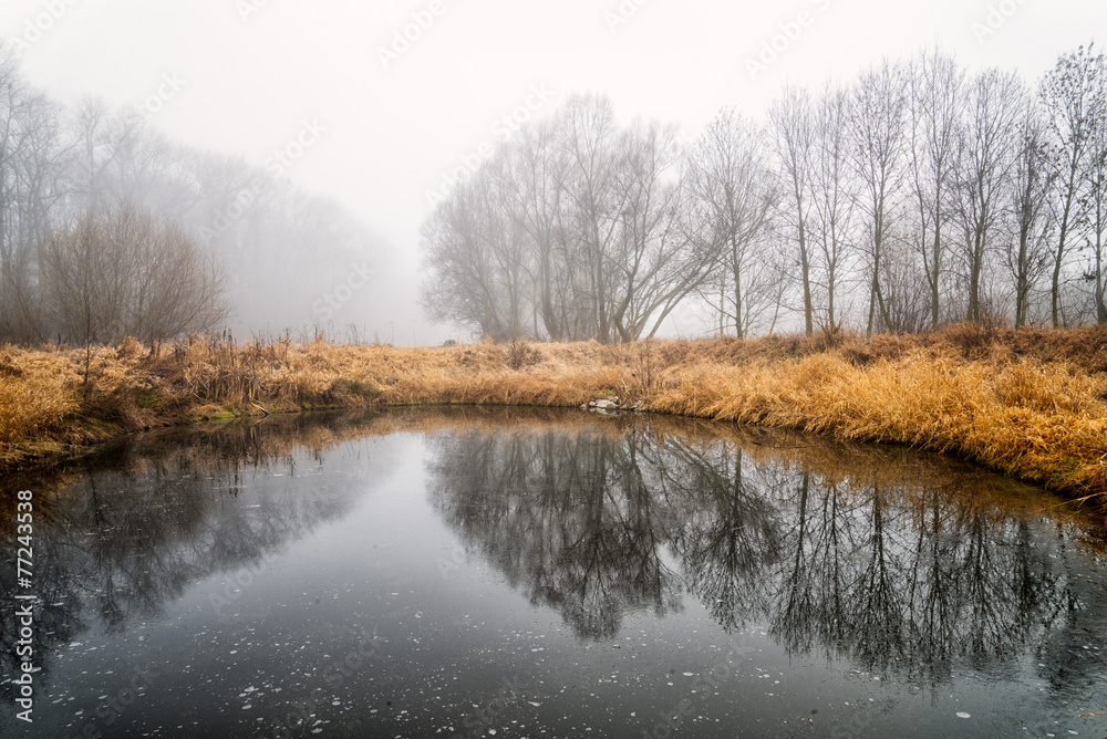 Obraz premium Autumn landscape with lake.