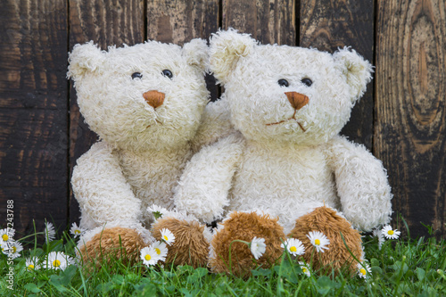 Liebespaar: zwei alte Teddybären im Sommer © Jeanette Dietl