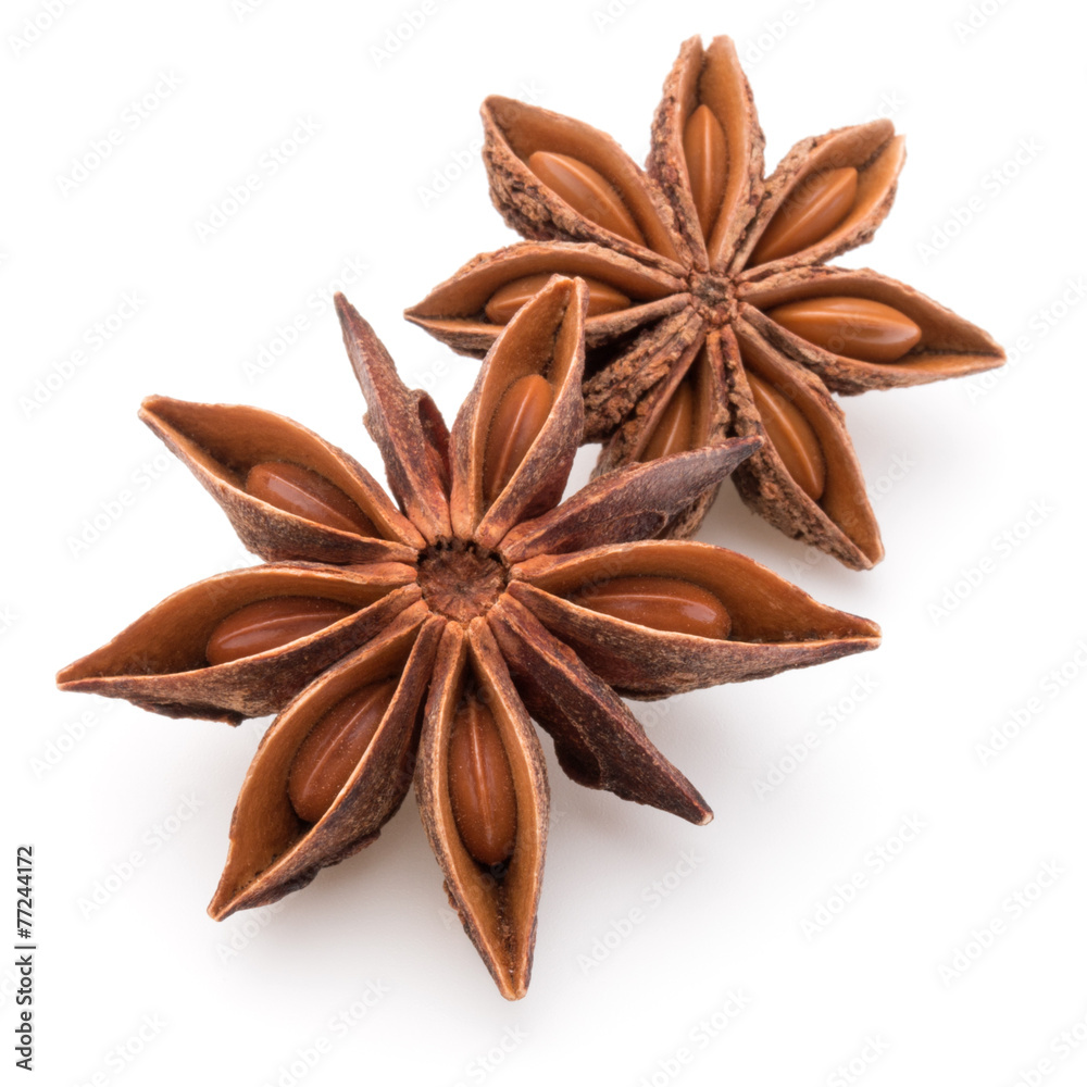 Star anise spice fruits and seeds isolated on white background c Star anise spice fruits and seeds isolated on white background c