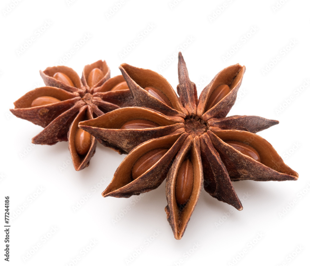 Star anise spice fruits and seeds isolated on white background c Star anise spice fruits and seeds isolated on white background c