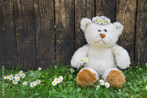 Teddybär allein im Sommer auf Holz Hintergrund © Jeanette Dietl