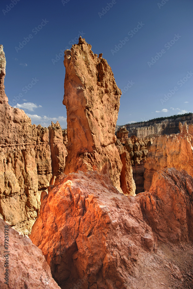 Fototapeta premium Bryce Canyon Rock Formation