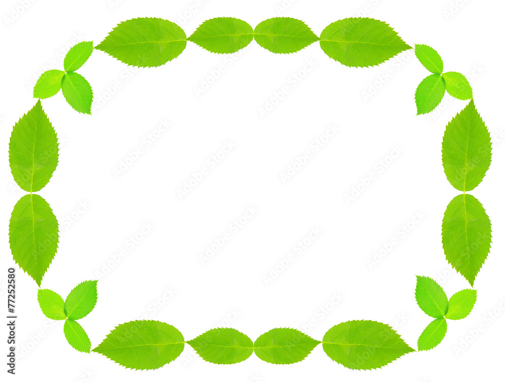 Green leaves shaped as frame with space for your text