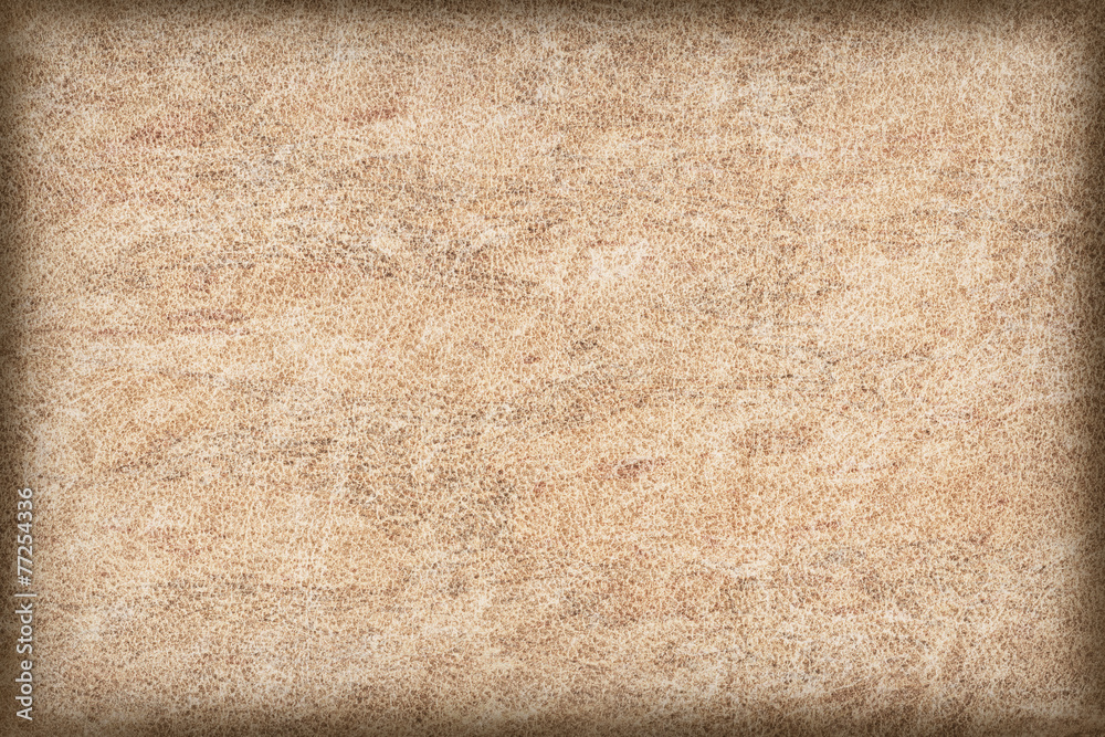 Old Yellowocher Animal Skin Vellum, coarse, grunge texture. Stock