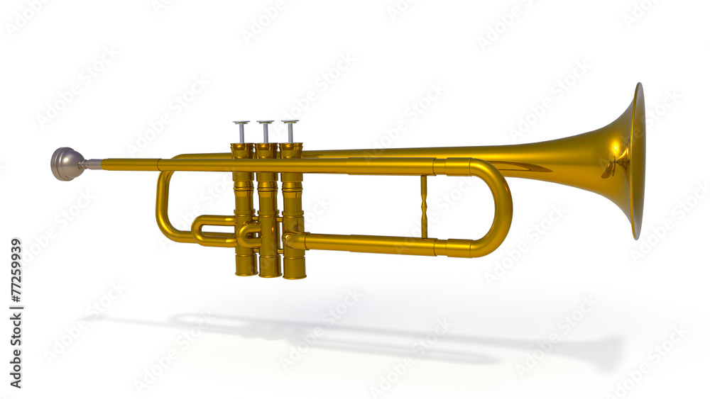 Fototapeta premium trumpet