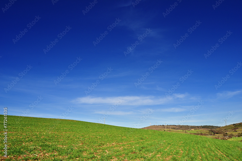 Collina con erba verde e cielo blu