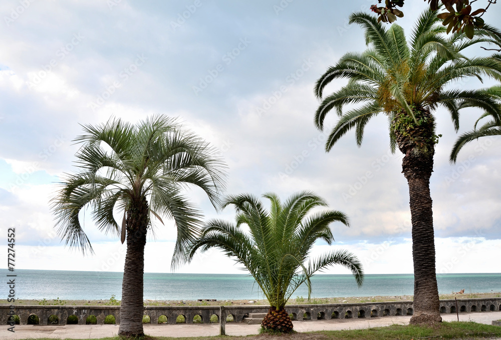 Fototapeta premium Waterfront views Gagra, Abkhazia