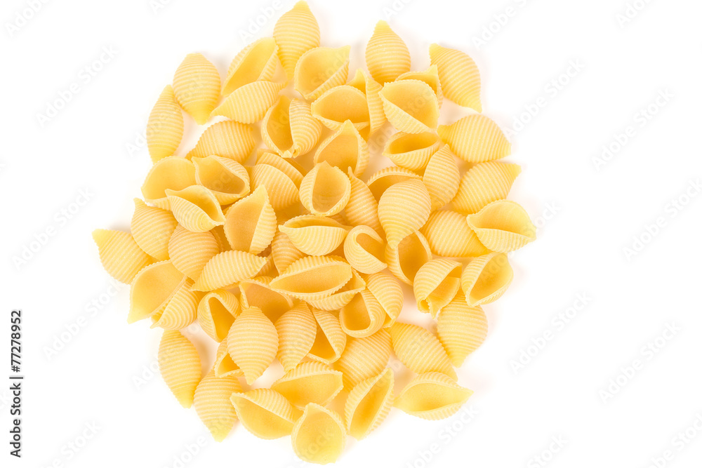 conchiglie pasta shell conchiglie pasta shell