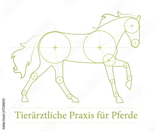 Pferd