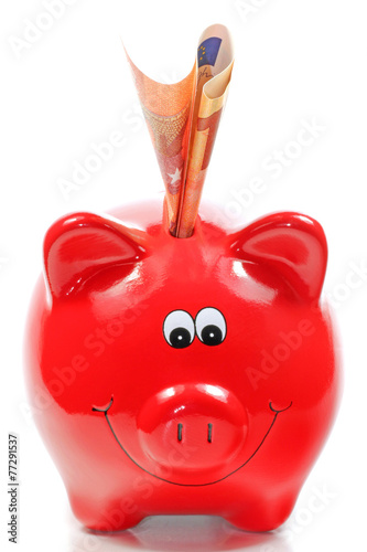 Sparschwein mit Geldschein