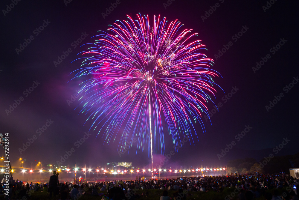 盛岡花火の祭典 盛岡花火の祭典