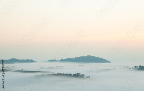 Fog covered mountains and trees