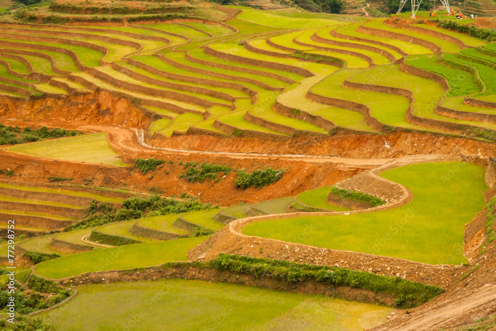 Beautiful rice terraces in Sapa, Vietnam.