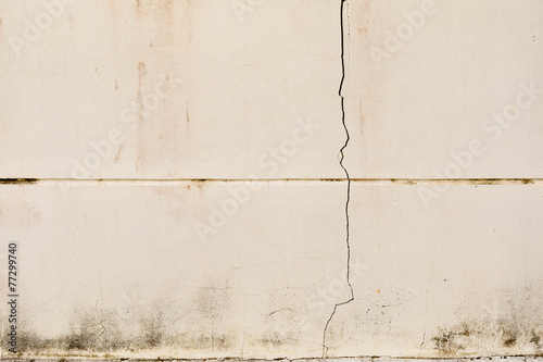 Old concrete crack