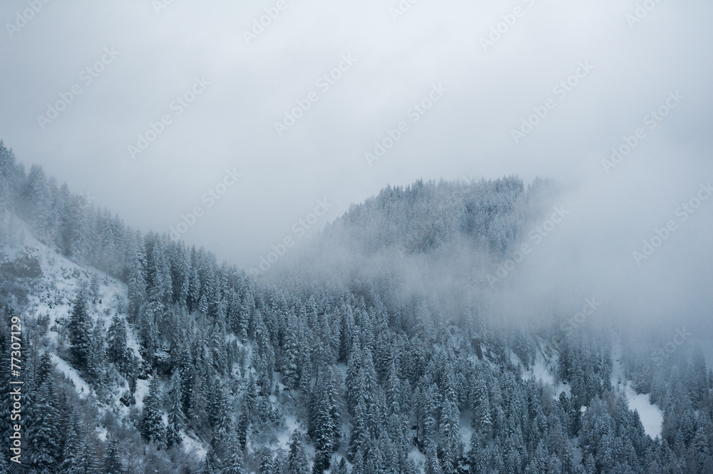 Winter scenery in Hintertux