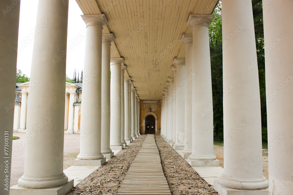 Wood flooring in the alley columns Wood flooring in the alley columns
