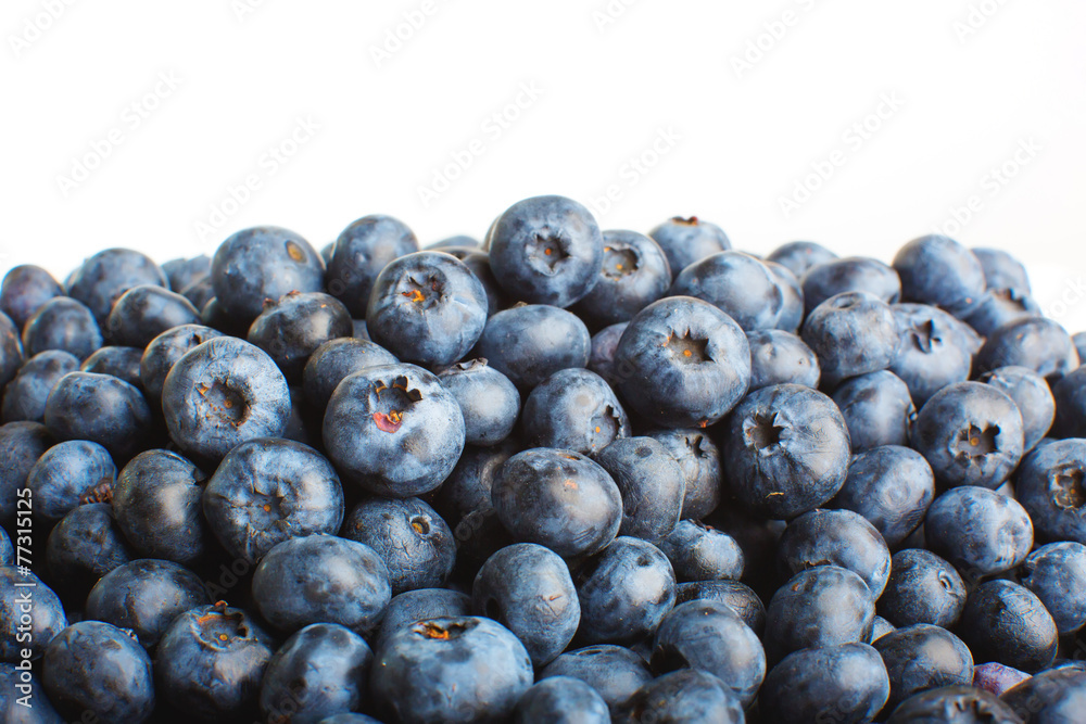 Fototapeta premium blueberries isolated on white background