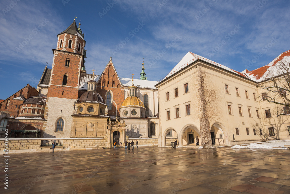 Fototapeta premium Cracow - Wawel Castle