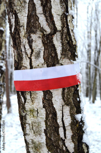 Fototapeta Naklejka Na Ścianę i Meble -  biało czerwona przepaska