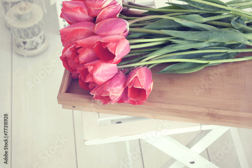 Fototapeta Naklejka Na Ścianę i Meble -  Tulips