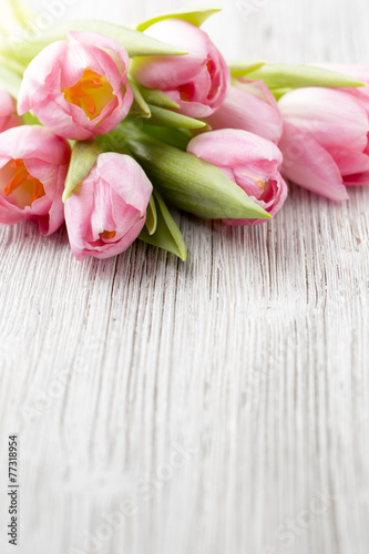 Fototapeta Naklejka Na Ścianę i Meble -  Tulip.