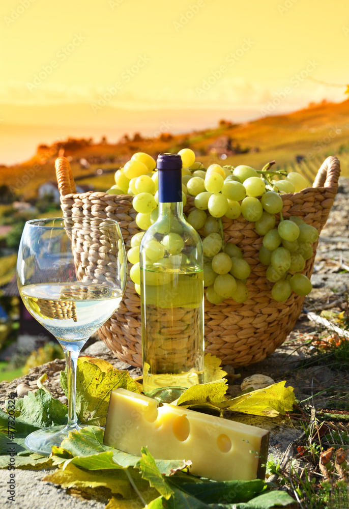 Wine and grapes. Lavaux region, Switzerland