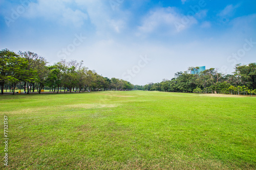 Green field lined by trees on clear day