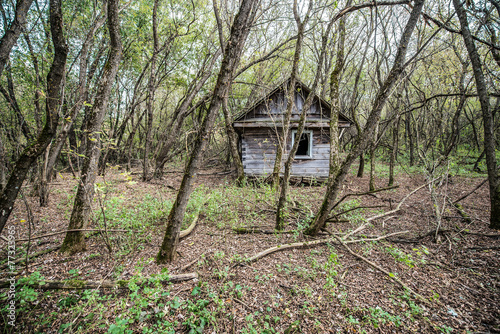 wooden cottage in Stechanka abandoned village, Chernobyl Zone photo