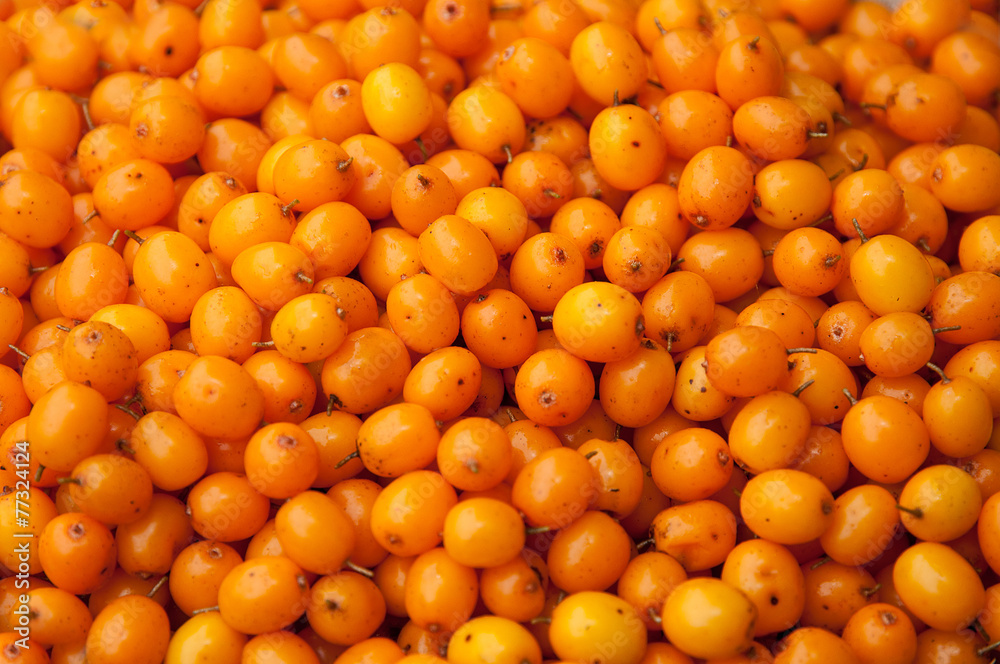 sea buckthorn