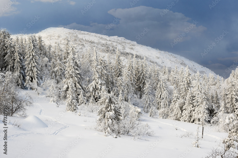 Winter in Norway