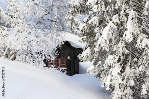 Winter landscape Norway photo