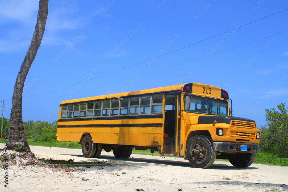 Alter amerikanischer Schulbus