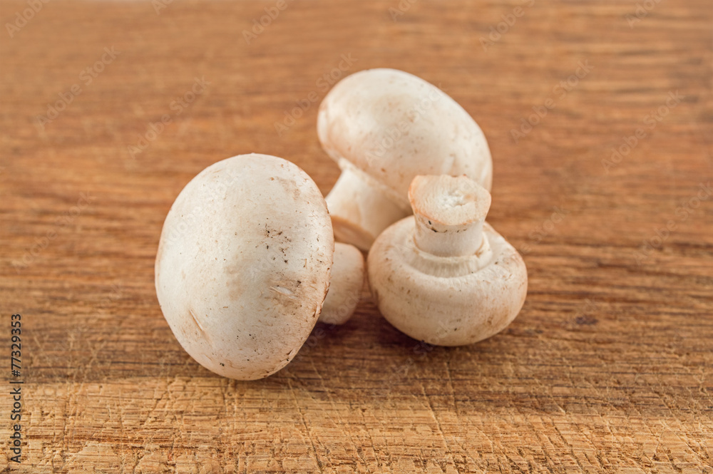 Three mushrooms closeup Three mushrooms closeup