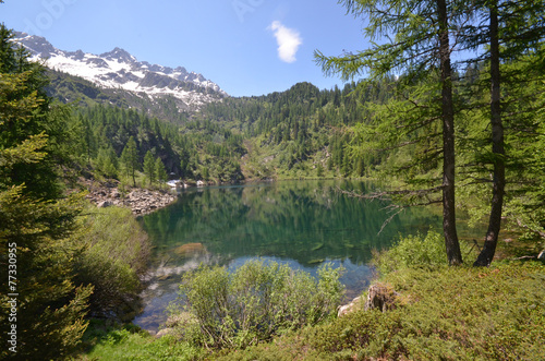 Fototapeta Naklejka Na Ścianę i Meble -  lago di montagna