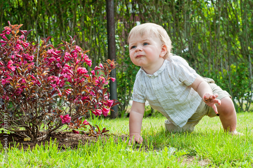 Baby boy sitting near pink bush Baby boy sitting near pink bush