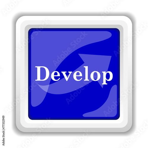 Develop icon