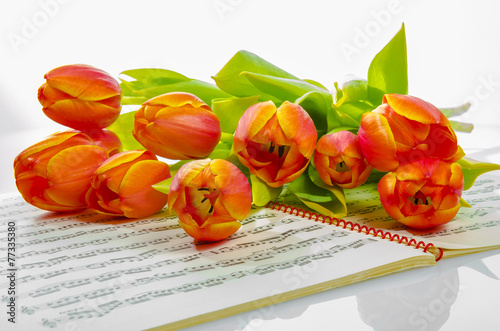 Fototapeta Naklejka Na Ścianę i Meble -  tulipes