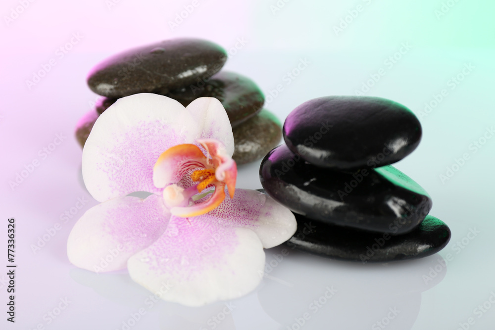 Spa stones with orchid on light background