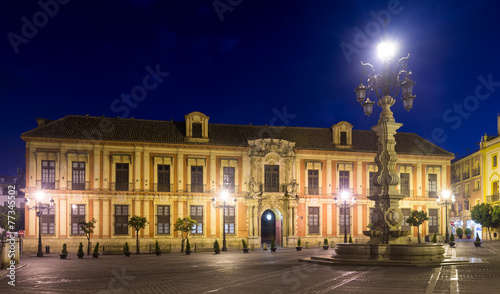  Archbishop's Palace of Seville in night
