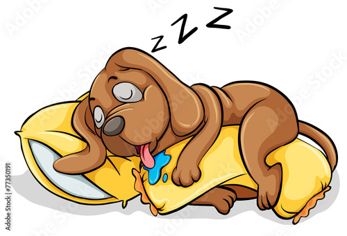 A dog sleeping with a pillow