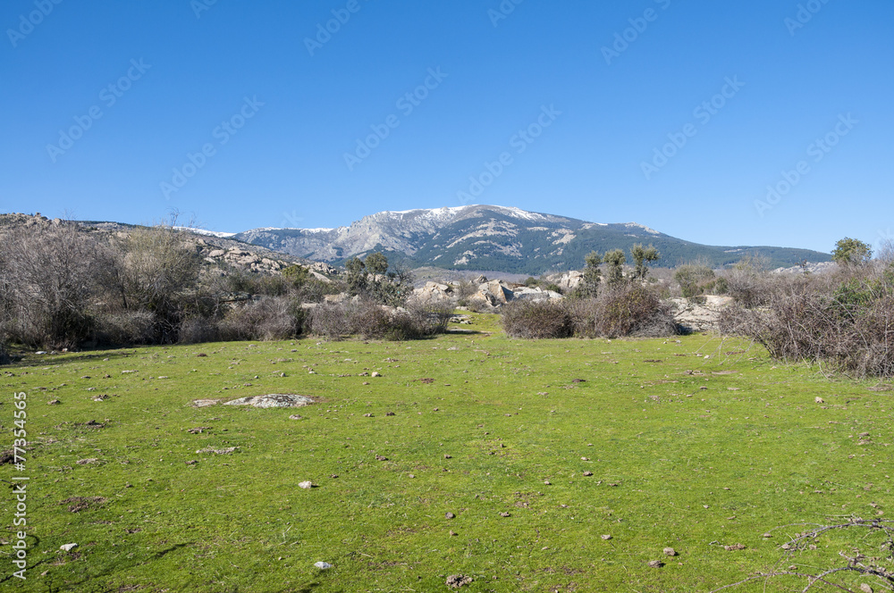 Meadow in the Hueco de San Blas, La Pedriza, Spain
