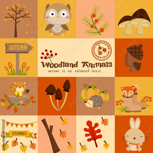 square woodland animal autumn vector set