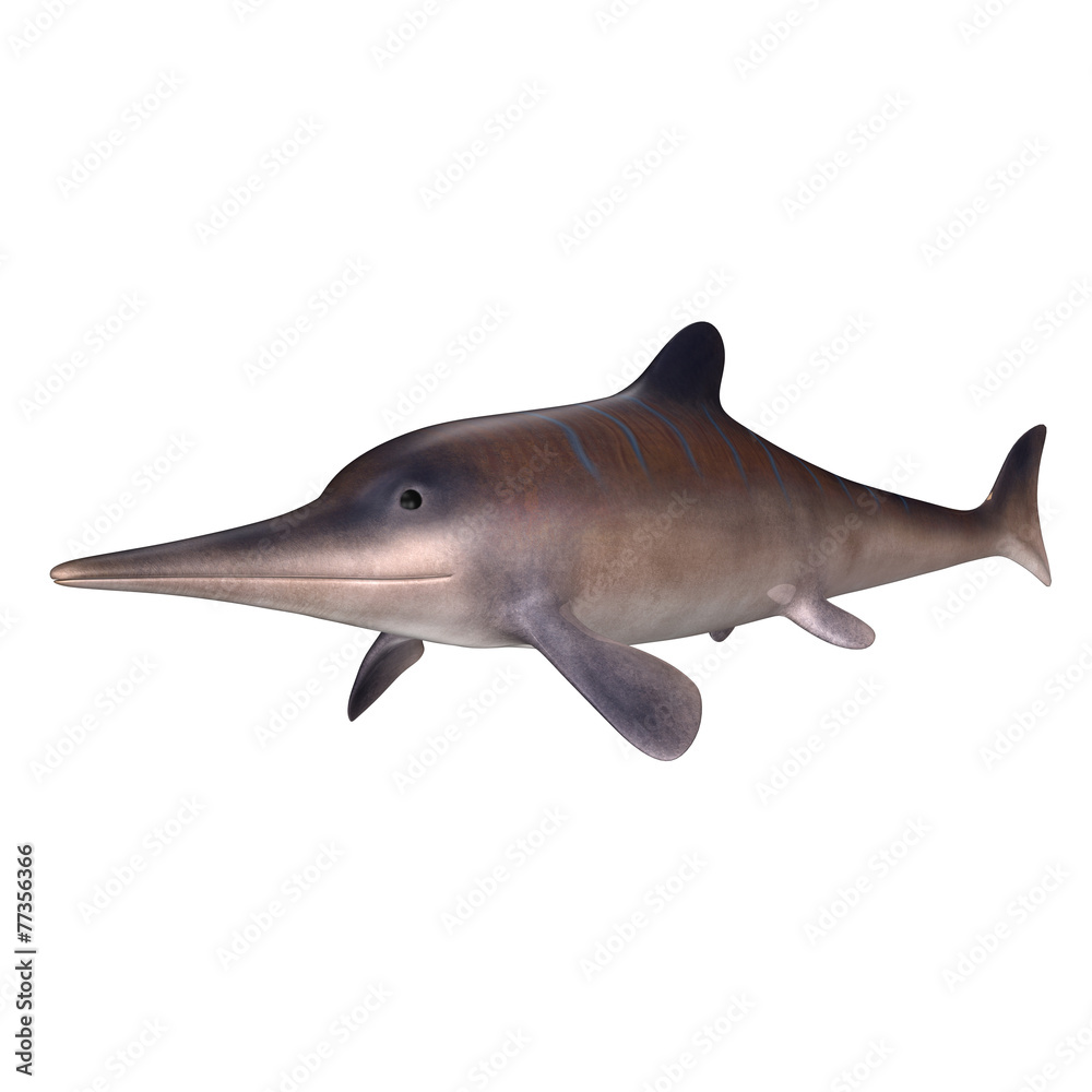 Obraz premium Ichthyosaurus